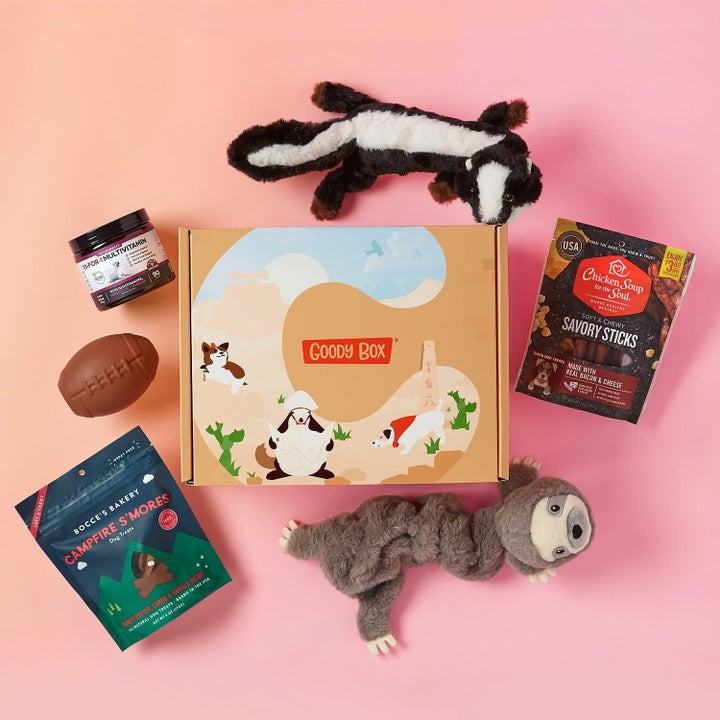 A Chewy box for dogs with toys and treats