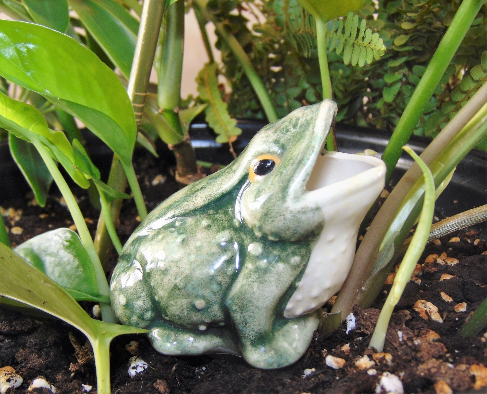 the frog watering spike in a planter