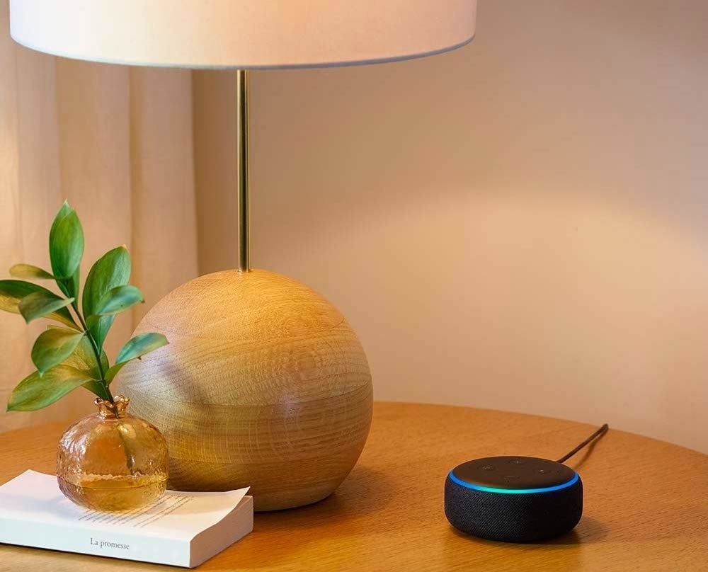 An Amazon Echo Dot on a table next to a lamp and a plant