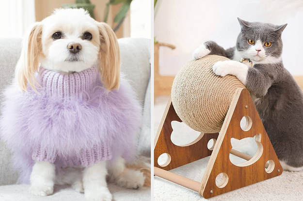 41 Fun Gifts To Buy Your Pet Because You Want Them To Have The World