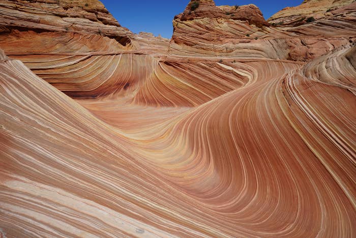 The Wave in coyote butte.