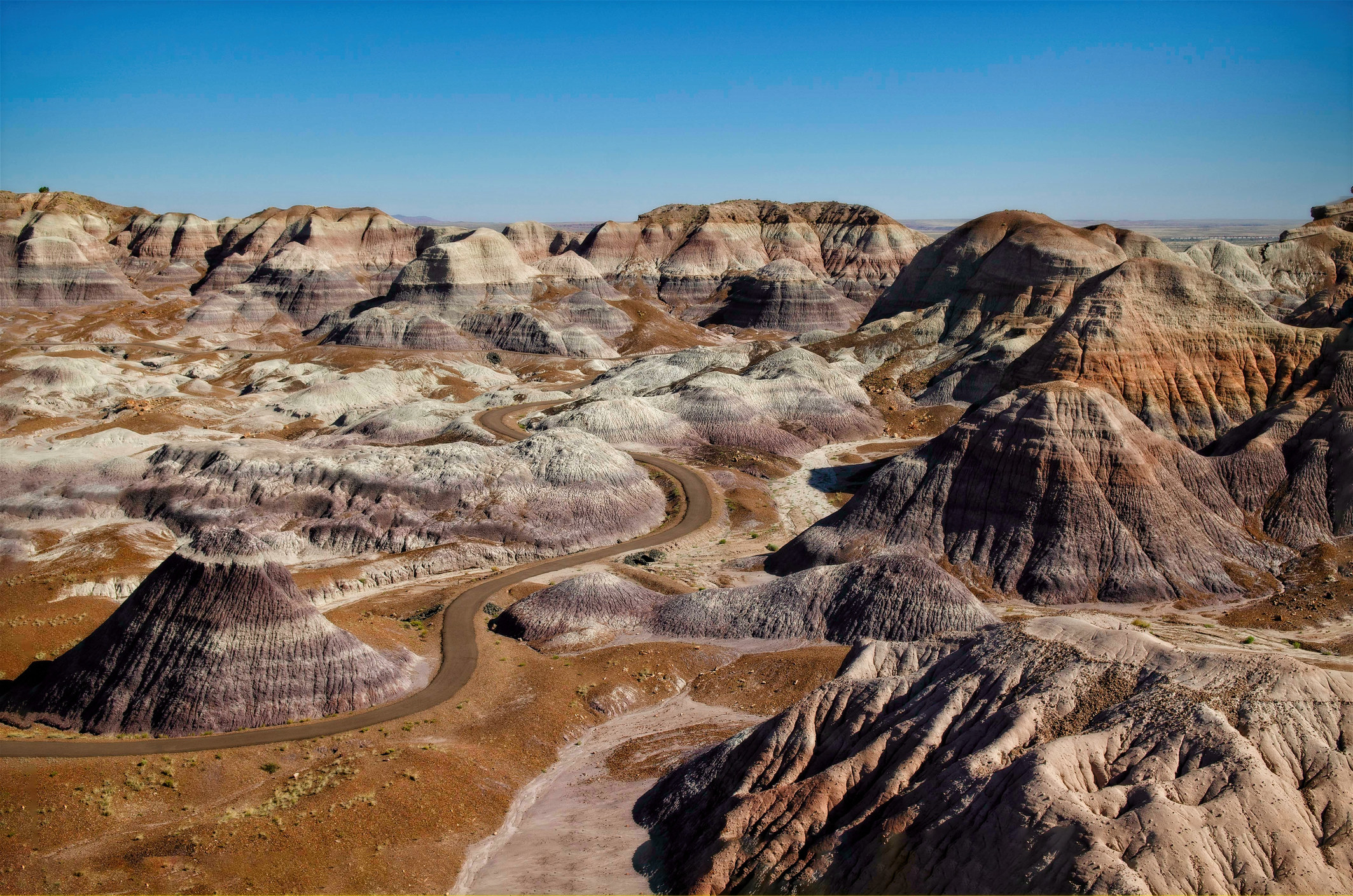 Blue Mesa Trail in Petrified Forest National Park.