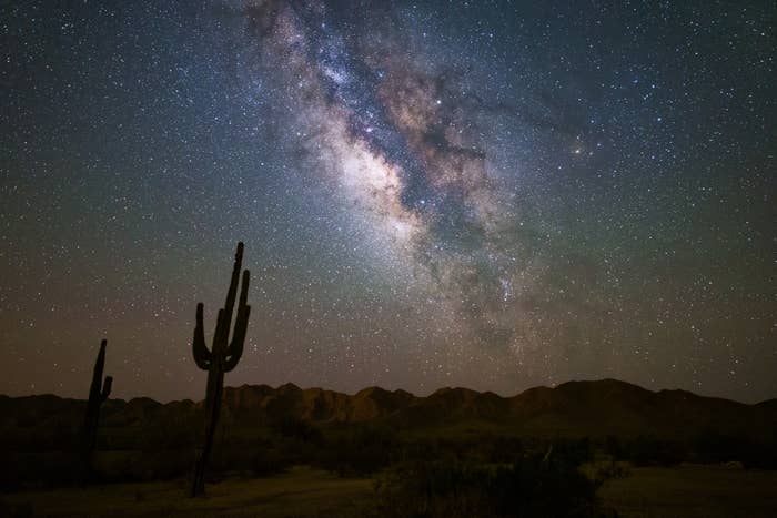 Stargazing in a dark sky park.