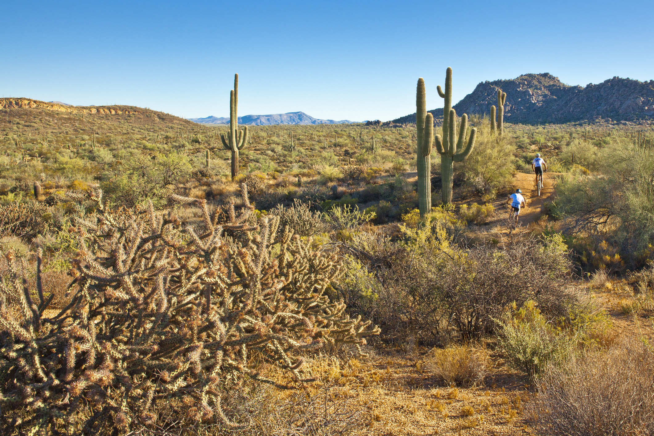 trails in Prescott National Forest