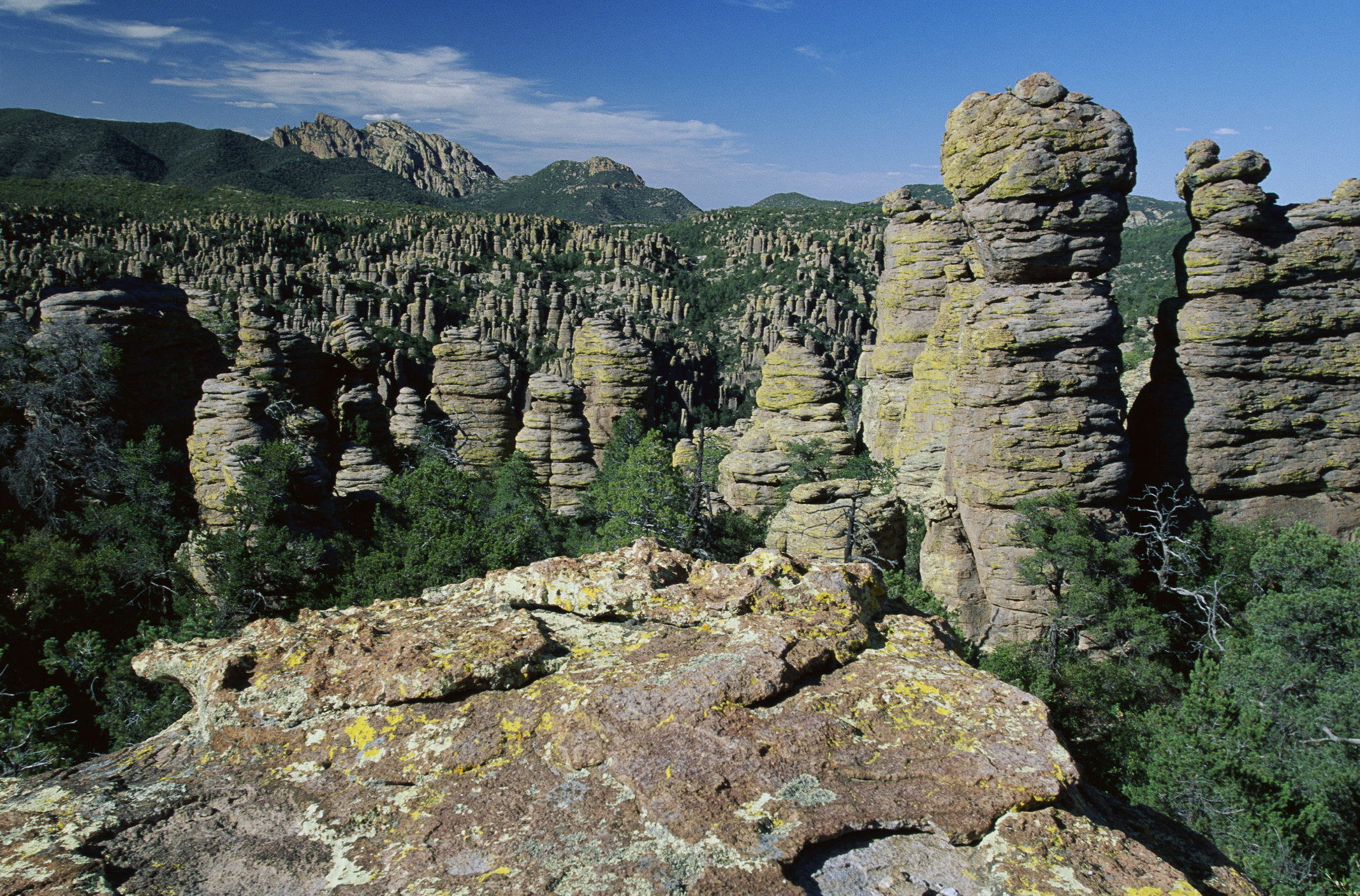 Rhyolite Formations of Chiricahua National Monument