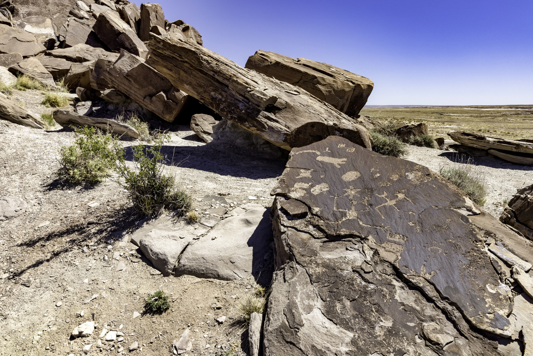 Ancient carvings on rock in Arizona.