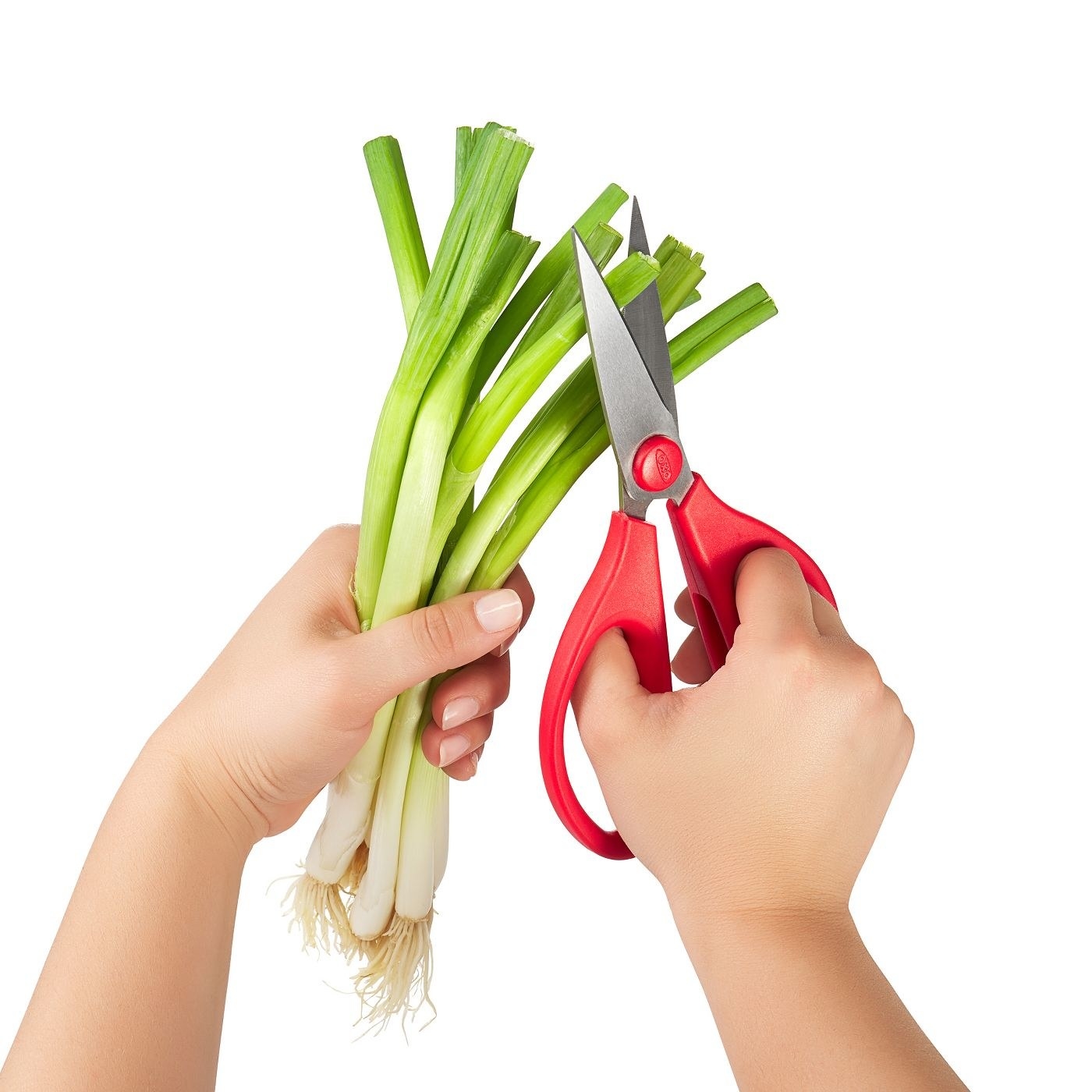 a model using the red scissors on a bunch of green onions