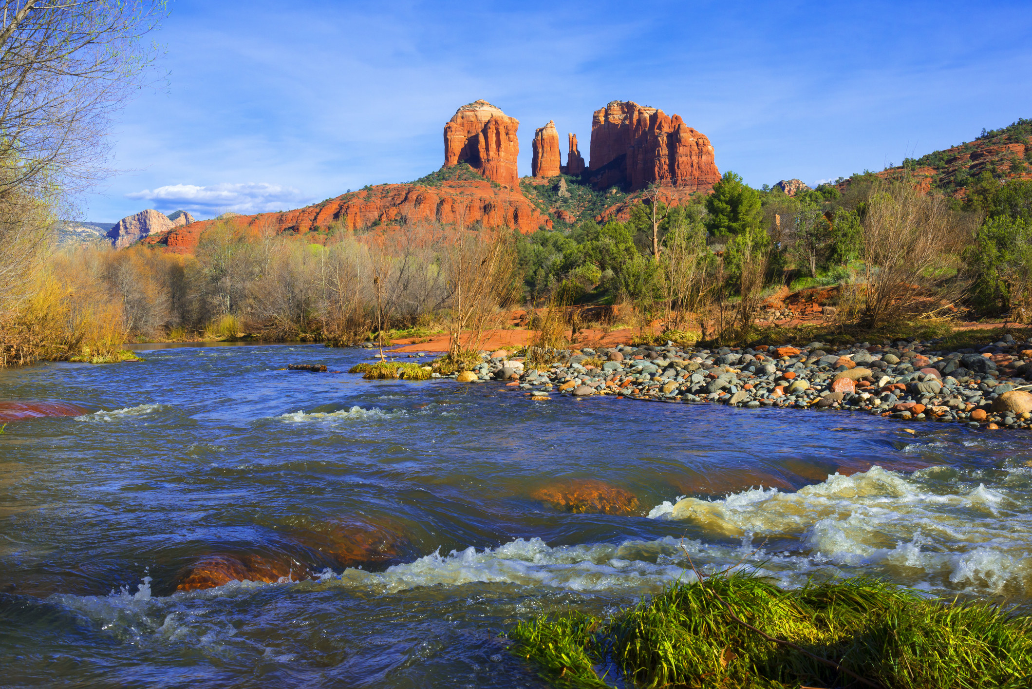 camping at Coconino National Forest