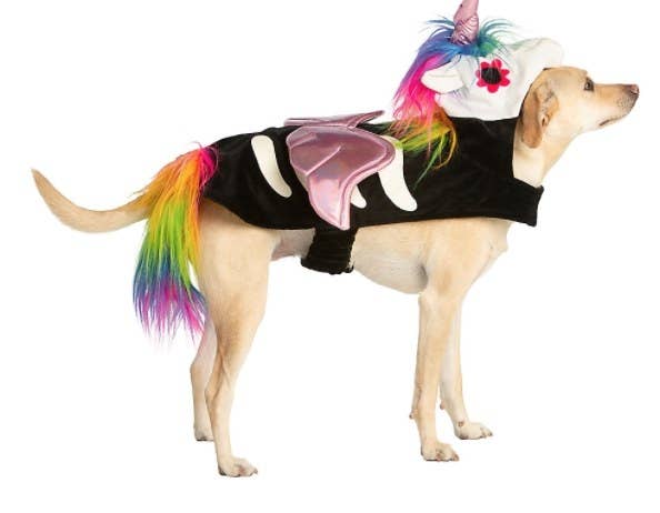 Dog wearing unicorn skeleton costume