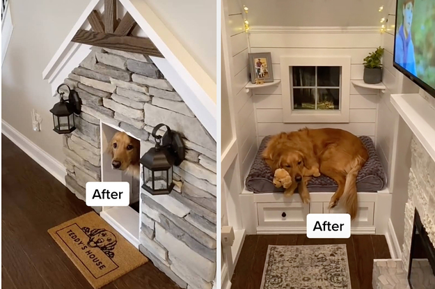 Dog Gets Custom-Built Watchtower to Keep an Eye on Things at Home