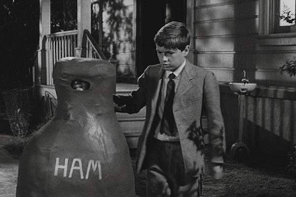 Scout in a ham costume labeled &quot;HAM&quot;