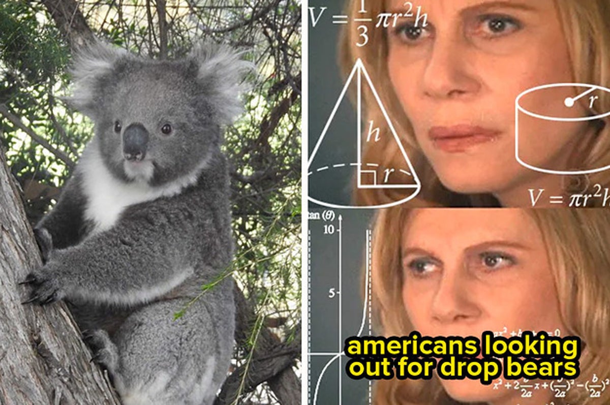 Drop Bear - The Australia Survival Guide 