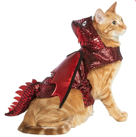 Cat wearing dragon costume