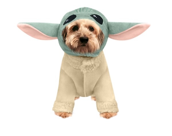 Dog wearing yoda costume