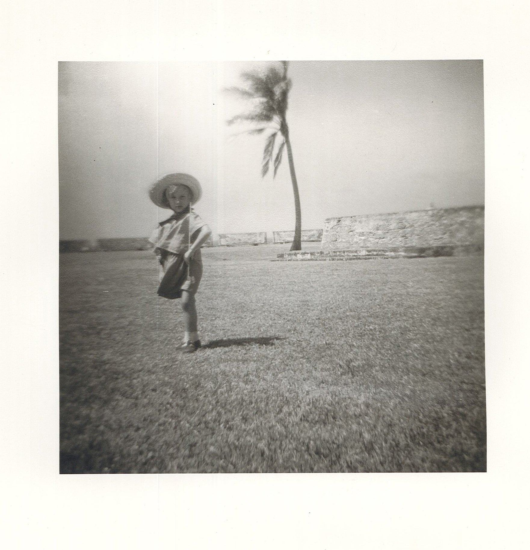 A picture of a young boy in a hat with a palm tree behind him