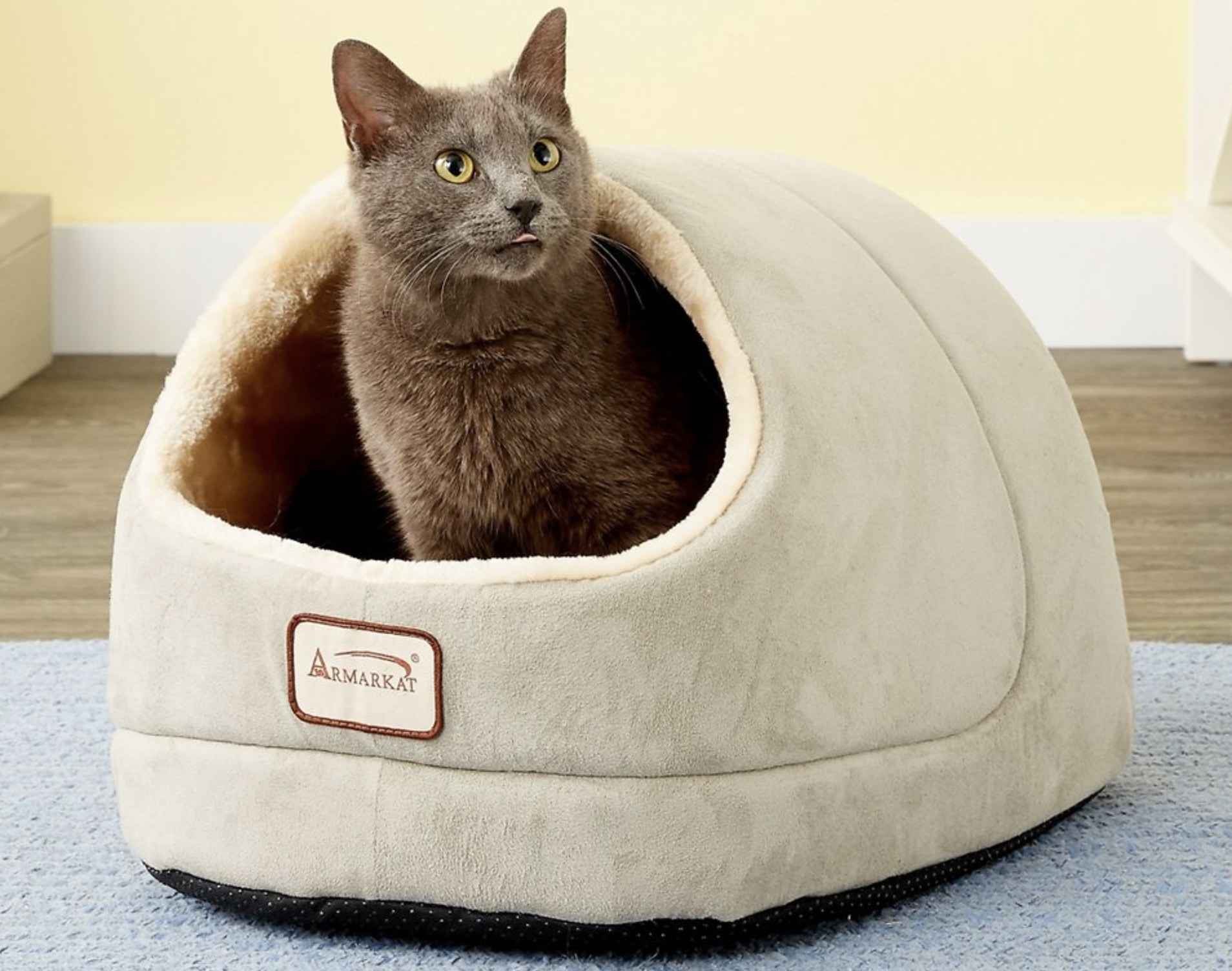 A grey cat sitting inside a beige cave bed