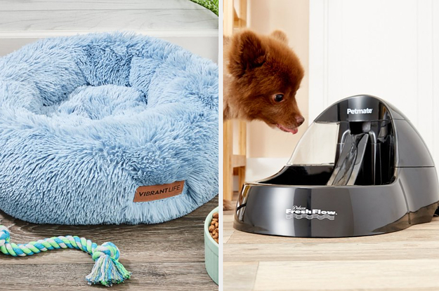 A donut-shaped pet bed on the left and a pet water fountain on the right