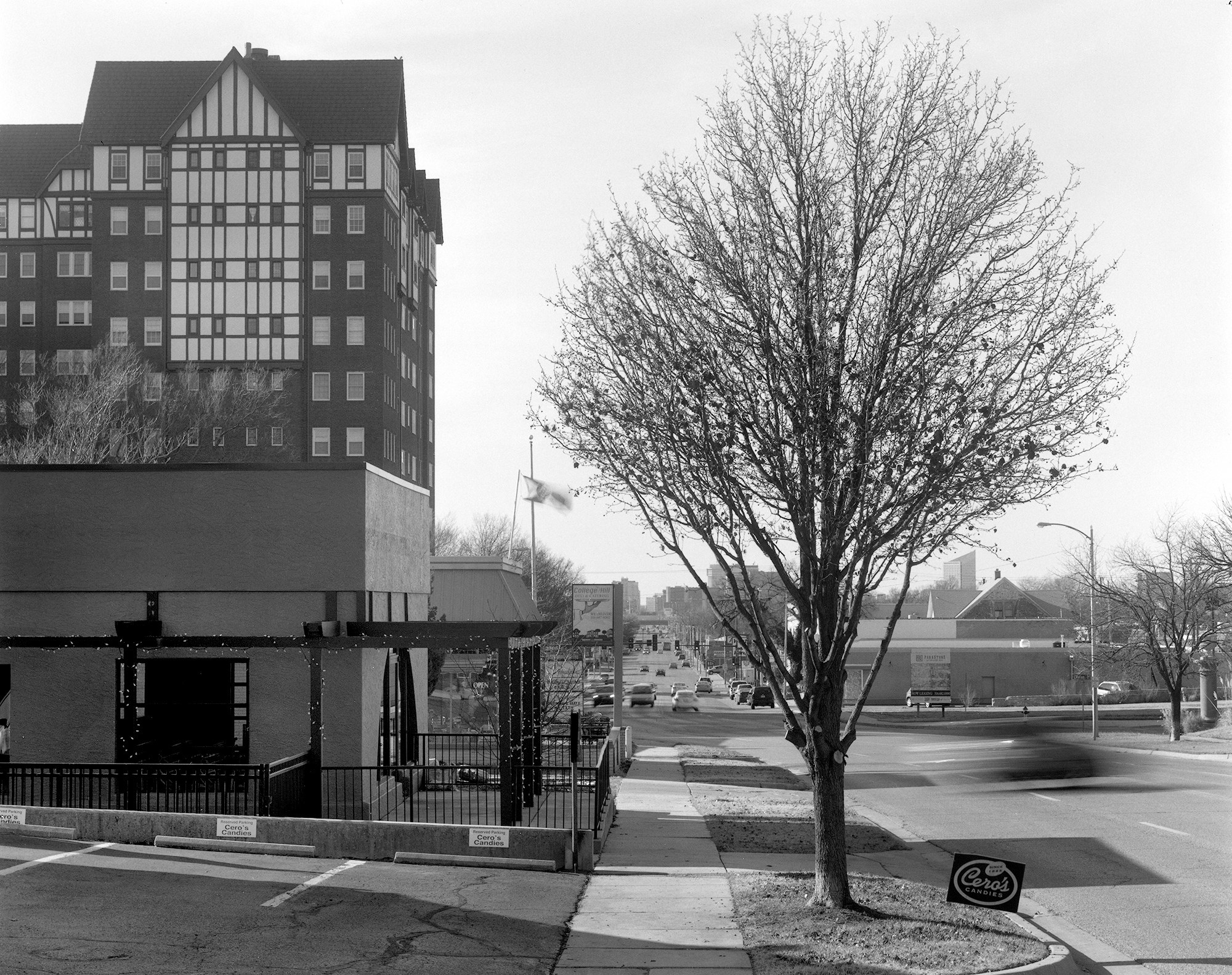 A solitary tree on the sidewalk by a road and next to a building