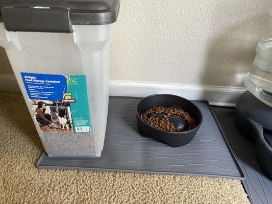 a grey silicone mat in the shape of a rectangle under a food bowl