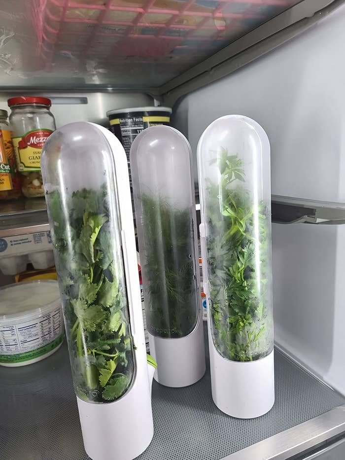 three of the pods with herbs in them in a fridge