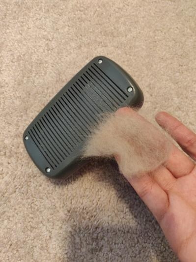 a person holding fur from the self-cleaning cat brush