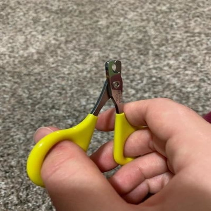 a person holding the yellow clippers