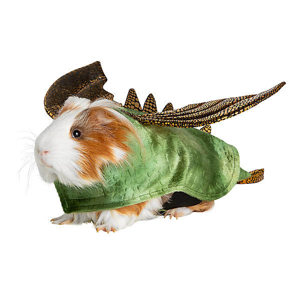 a guinea pig wearing the green costume with gold details