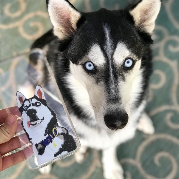 Reviewer photo of a Husky and its graphic on a transparent phone case