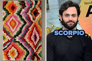 On the left, a patterned shag rug, and on the right, Penn Badgley labeled Scorpio