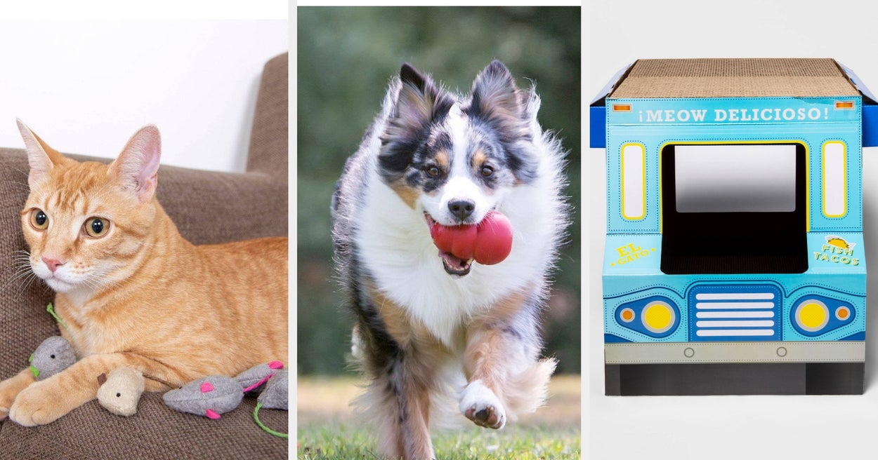 Target Pet 31 Pet Products From Target You'll Wonder Why You Didn't Buy Sooner