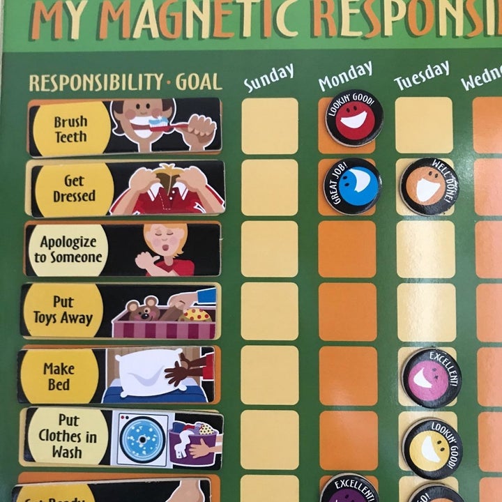 Reviewer's photo showing a close up view of the reward chart