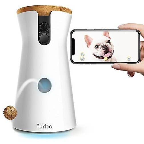 furbo dog camera and cell phone with photo of dog