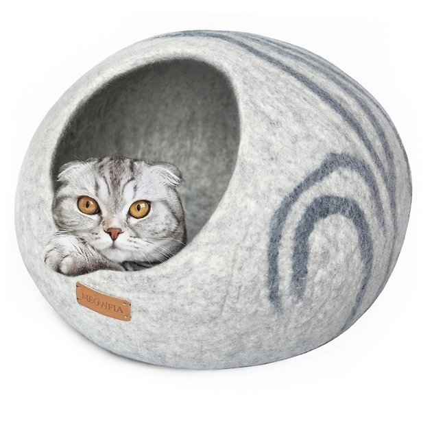 gray cat cave bed with a gray cat inside