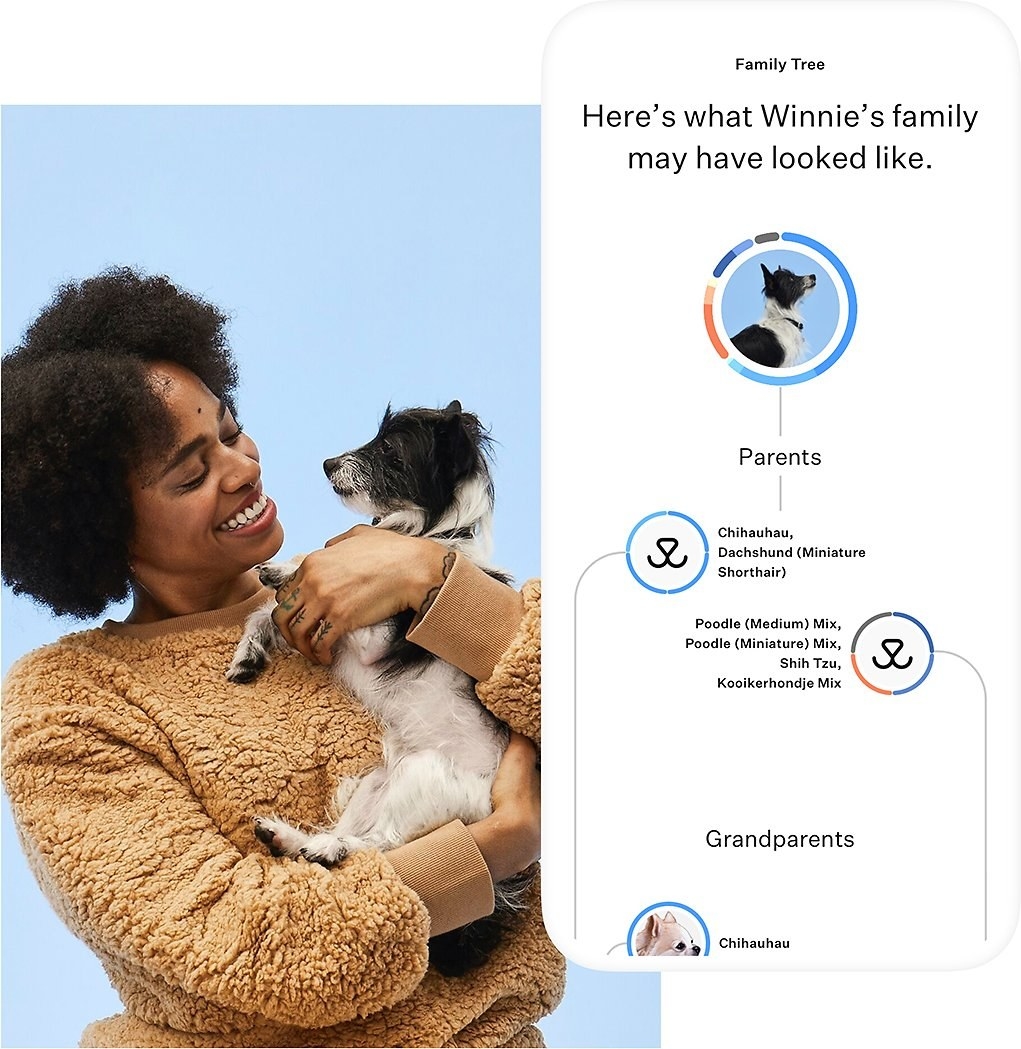 model  holding a small dog and a screenshot of DNA test results