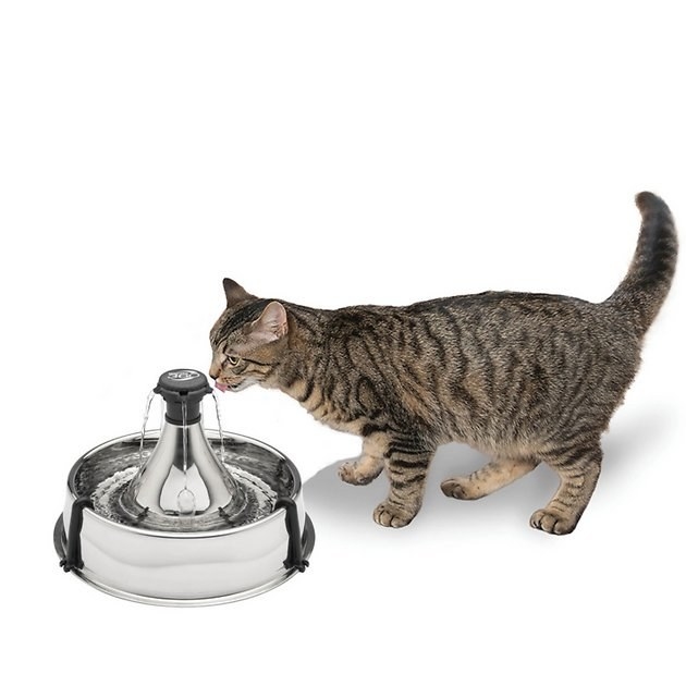 stainless steel water fountain and cat drinking water