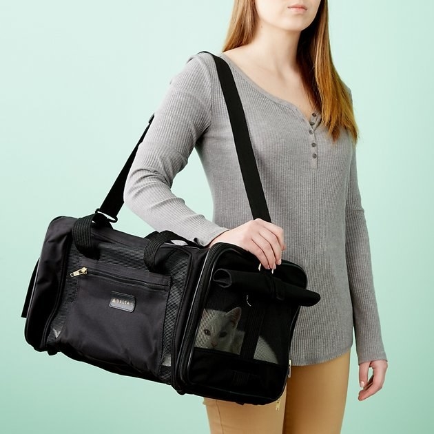 model carrying a rectangular pet carrier with a white cat inside