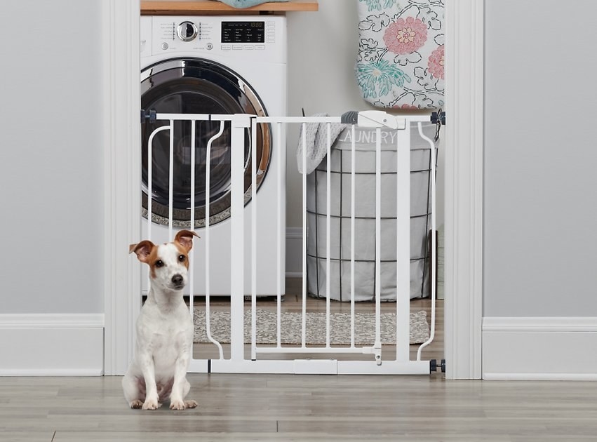white pet gate with small dog sitting in front