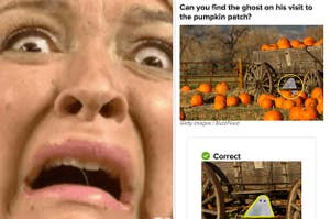 Maya Rudolph looking terrified and a sample question asking to find the ghost in the pumpkin patch