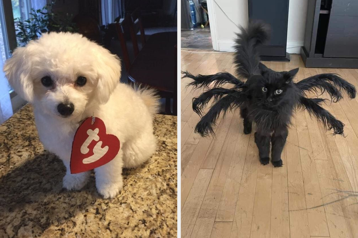 Ty halloween outlet costume dog