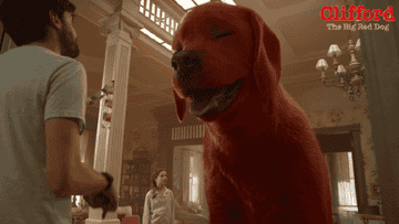 Clifford looking at uncle Casey