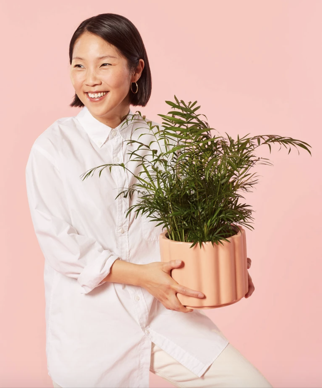 A person holds up a palm plant in a pink planter