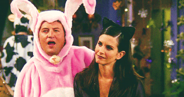 Chandler dressed as a bunny and Monica dressed as catwoman on friends