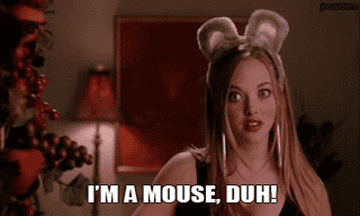 gif from mean girls of karen saying &quot;I&#x27;m a mouse, duh!&quot;