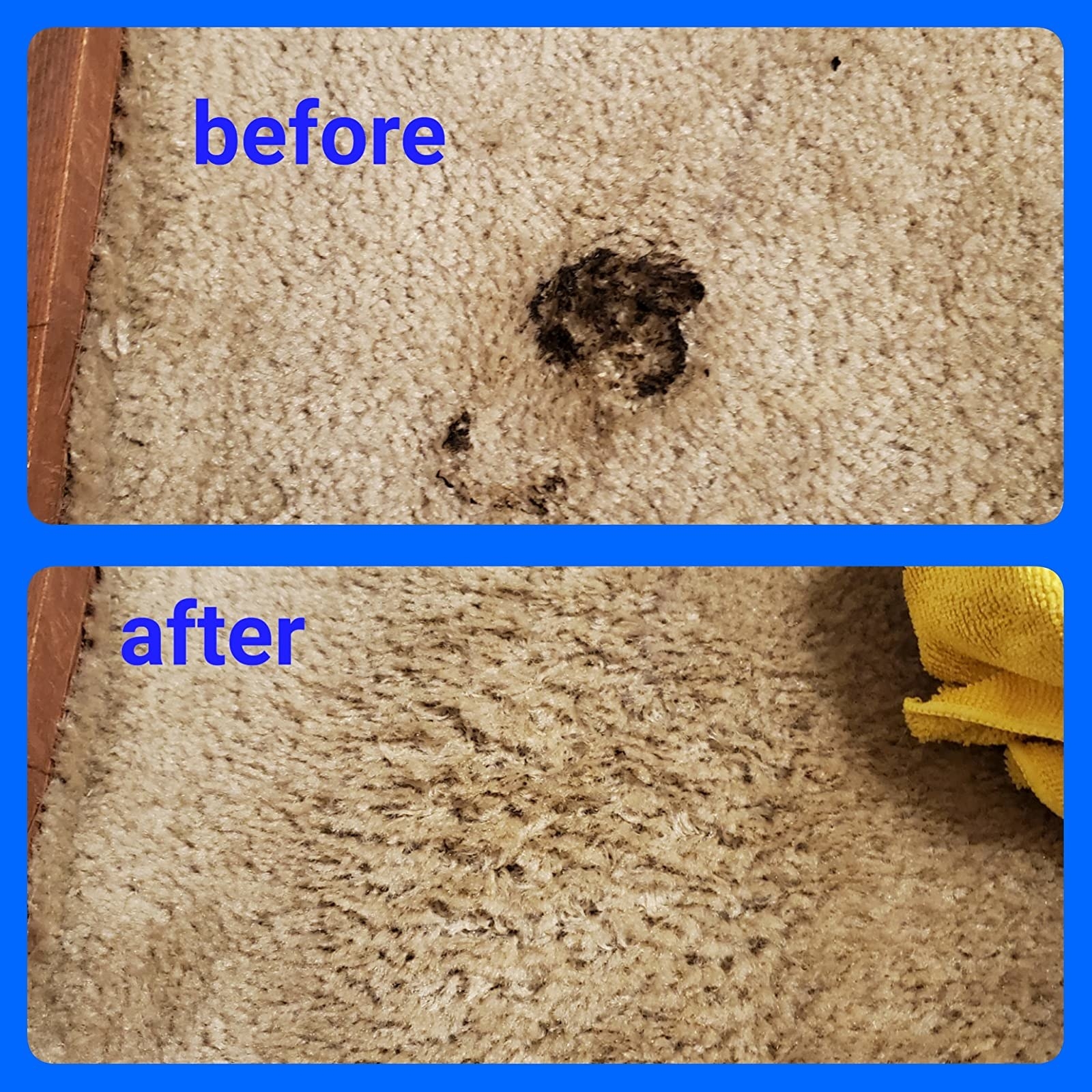 review of a before and after of someone that used the remover to clean up pet poop
