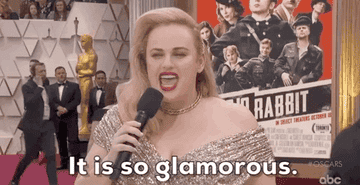 Rebel Wilson saying on the Oscars red carpet saying &quot;it is so glamorous&quot;