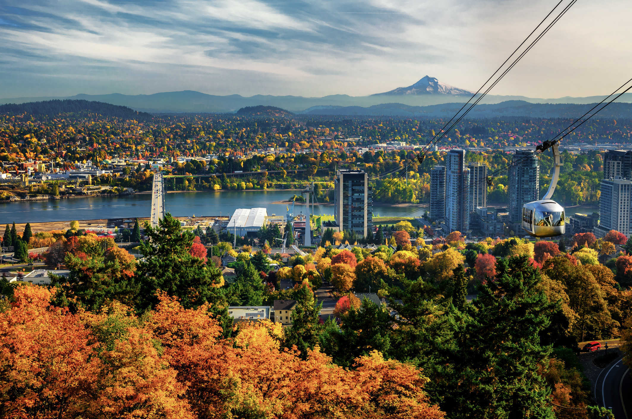 Autumn trees in Portland