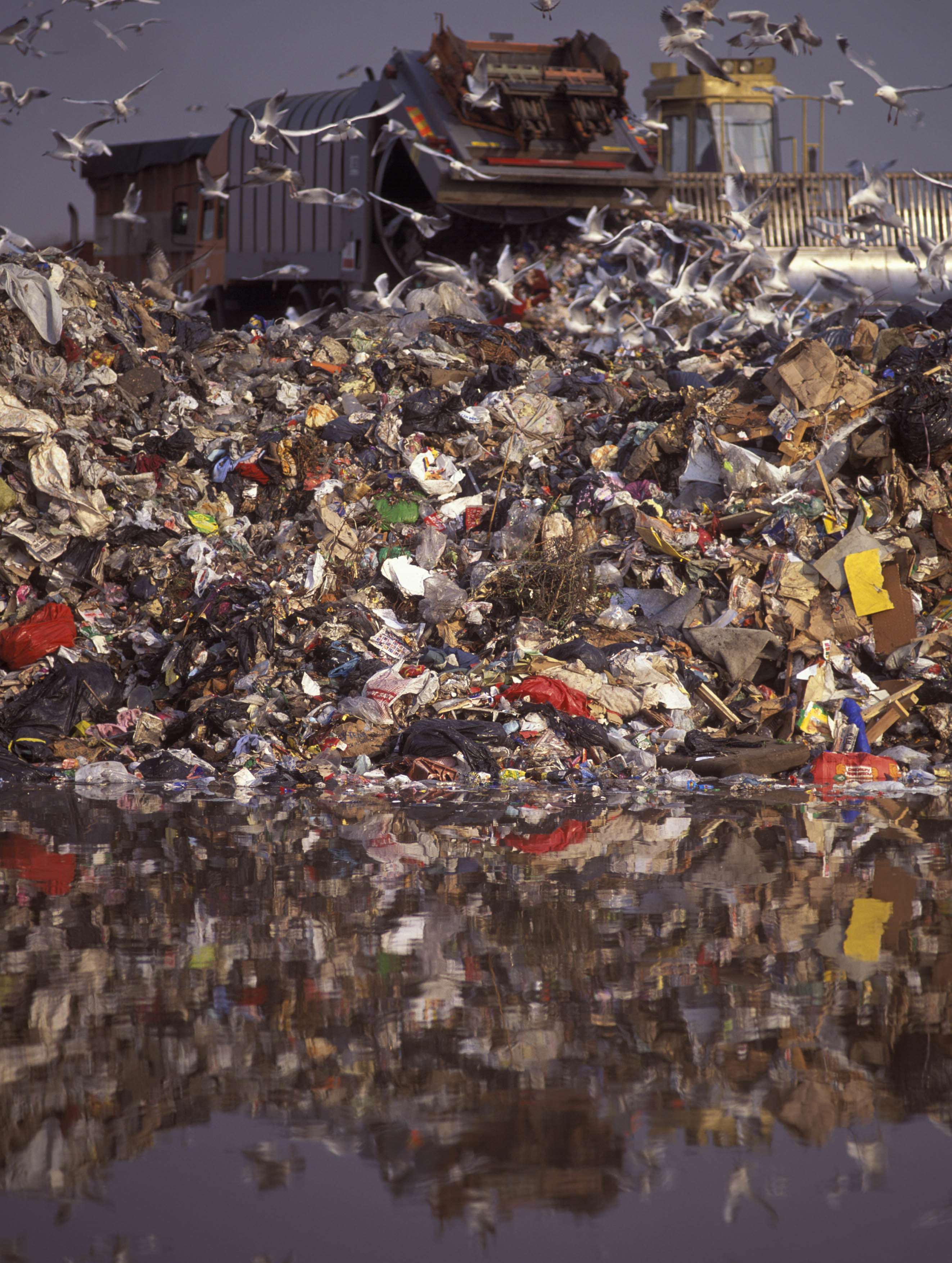 Birds fly above a landfill as piles of trash are reflected in water