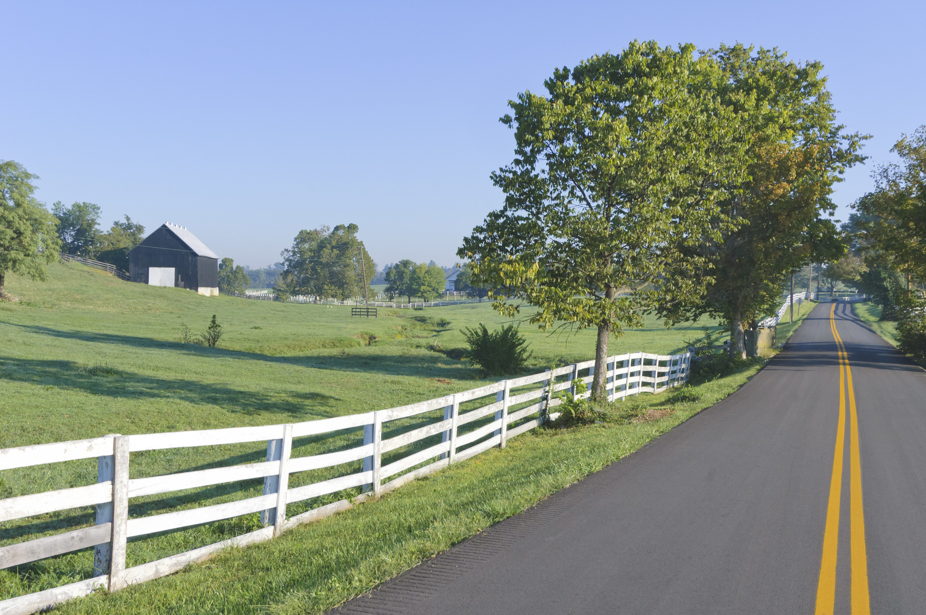 Country road near Lexington