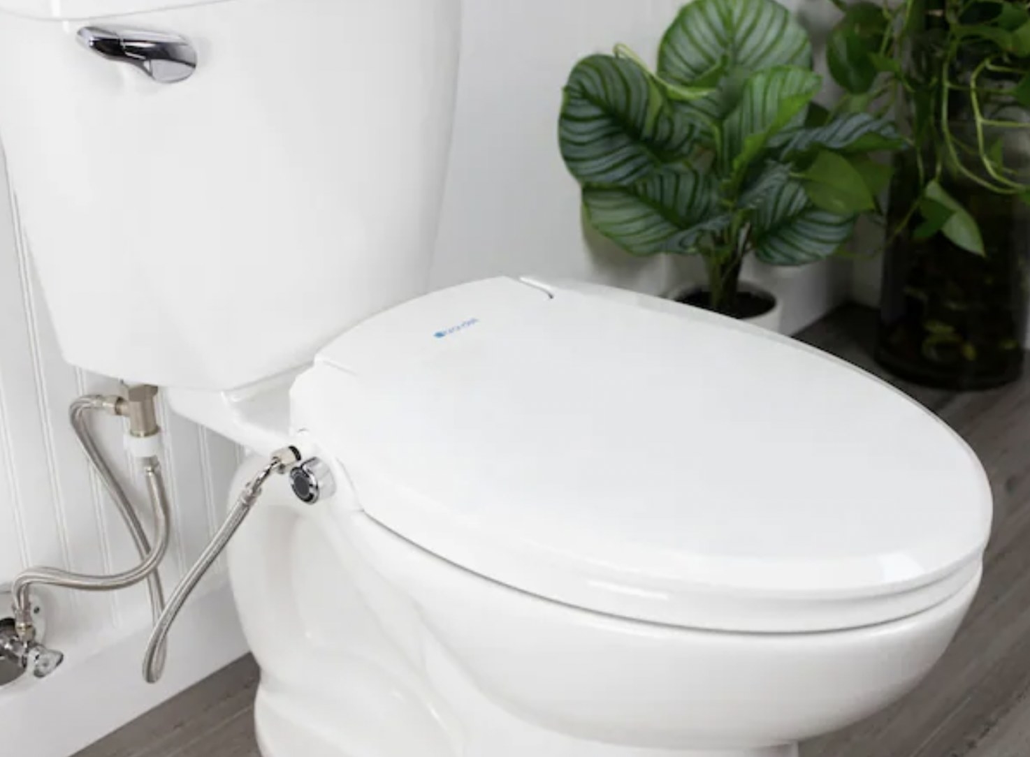 a bidet attached to a toilet