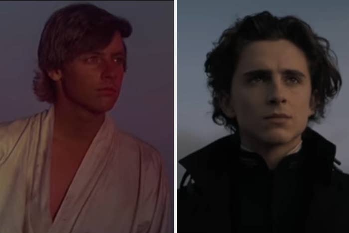 卢克在“星战前传IV -一个新的Hope"和保罗在“Dune"